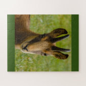 un chamois des Alpes sur puzzle (Horizontal)