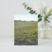 Un Champ De Dandelions Carte Postale (Debout devant)