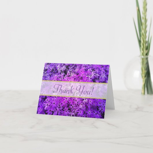 Un champ de Merci de marguerites violettes et rose (Devant)