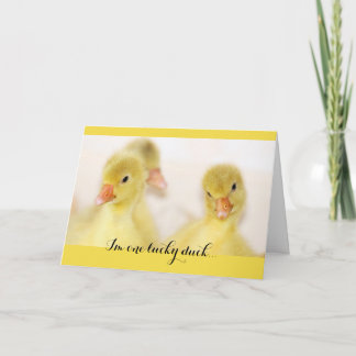 Un chanceux canard à penser à votre carte
