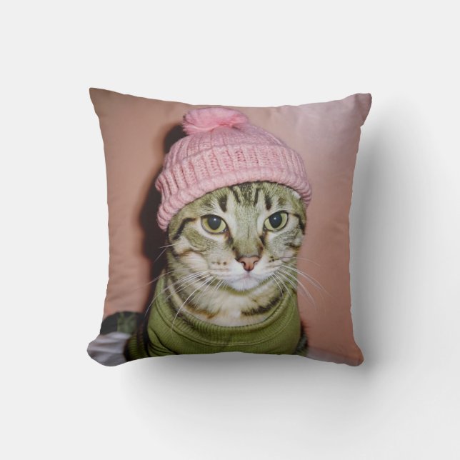 un chat dans un coussin beanie (Recto)