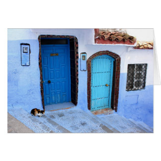 Un chat - Deux portes bleues marocaines