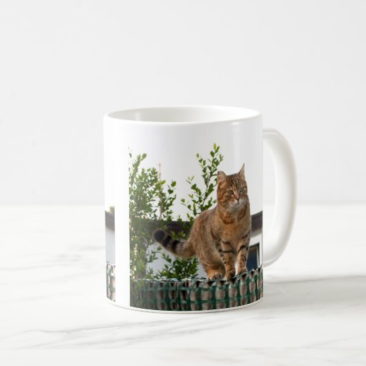 un chat sur une tasse (Devant droit)