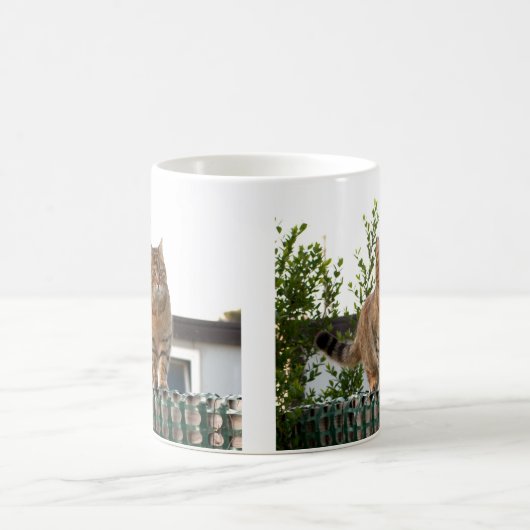 un chat sur une tasse (Centre)