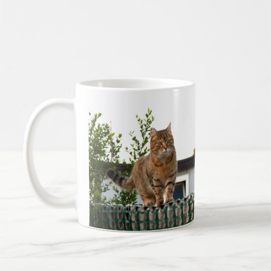 un chat sur une tasse (Gauche)