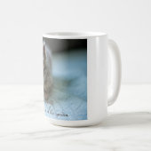 Un chaton est une tasse de chat rosebud (Devant droit)