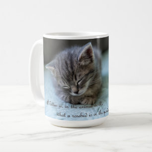 Un chaton est une tasse de chat rosebud