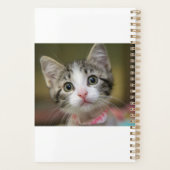 Un chaton mignon aux yeux verts (Dos)