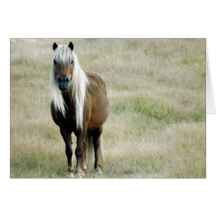 Un cheval, bien sûr...