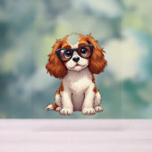 Un chien mignon, le roi Charles Spaniel (Neutre)