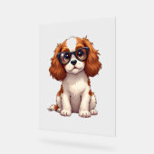 Un chien mignon, le roi Charles Spaniel (Angle)