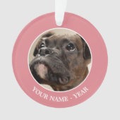 Un chiot de Brindle Boxer qui regarde curieusement (devant)