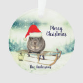 Un cochon de Guinée sur un ornement de Noël en tra (devant)