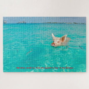 Un cochon nage aux Bahamas. Puzzle