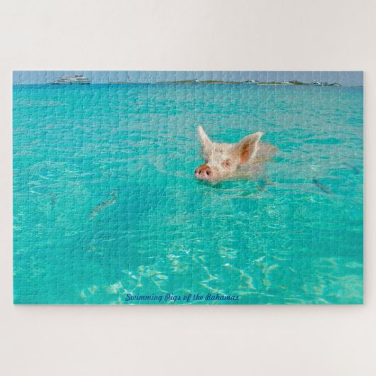 Un cochon va nager aux Bahamas. Jigsaw Puzzle (Horizontal)