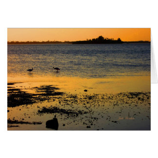 "Un coucher de soleil d'or" à Dunedin, Floride