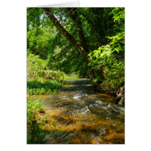 Un Country Creek