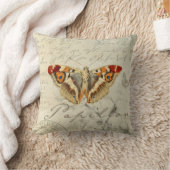 un coussin de papillon vintage et chic. (Couverture)