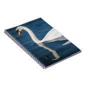 Un cygne et son carnet de réflexion (Côté Droit)