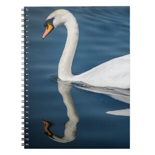 Un cygne et son carnet de réflexion (Devant)