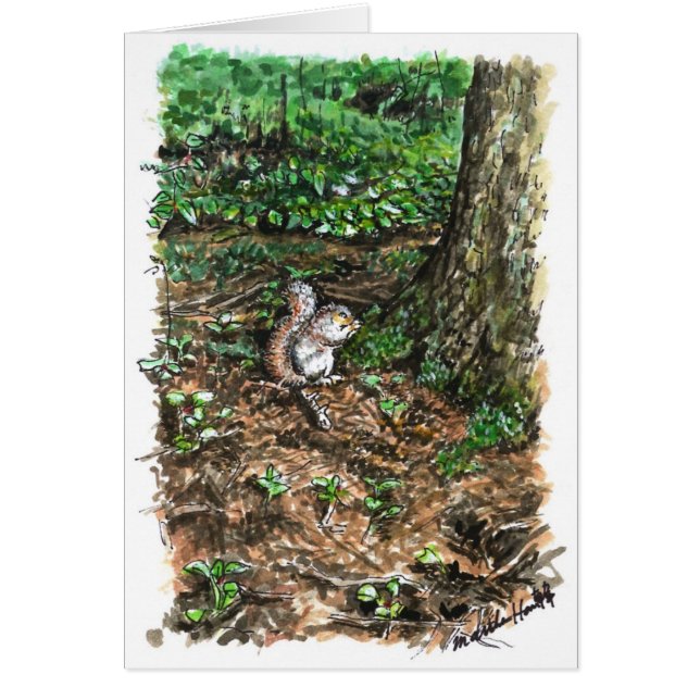 Un écureuil bien achalandé (Devant)