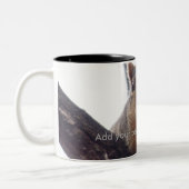 Un écureuil regarde votre tasse de café (Gauche)