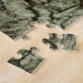 Un écureuil sort de son puzzle de nid (Côté)