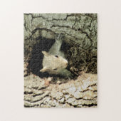 Un écureuil sort de son puzzle de nid (Vertical)