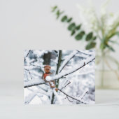 Un elfe de maïs avec boule de neige - carte postal (Debout devant)