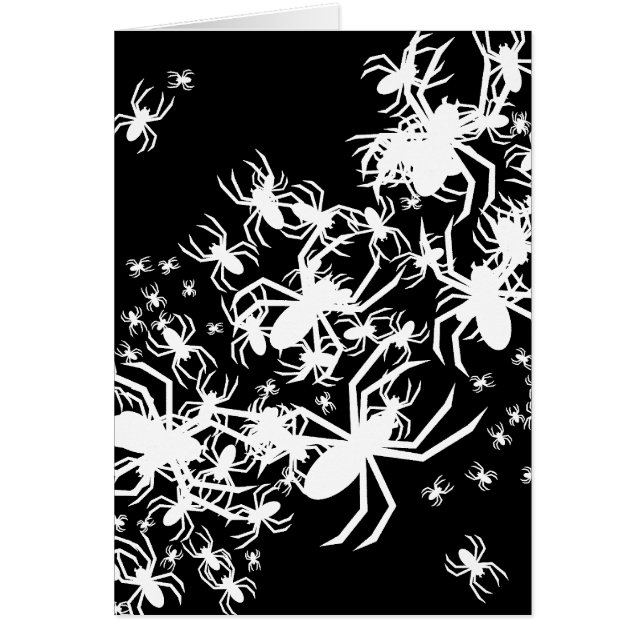 Un Ensemble D'Araignées (Devant)