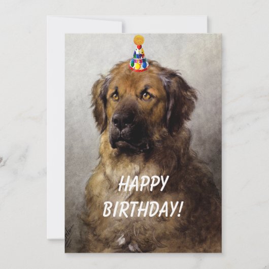 Un exploit de carte d'anniversaire. Leonberger d'O (Devant)