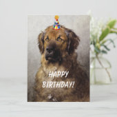 Un exploit de carte d'anniversaire. Leonberger d'O (Debout devant)