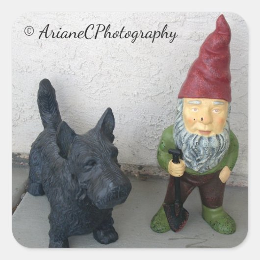 Un gnome et ses autocollants pour chien (Devant)