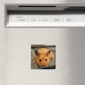 Un hamster syrien ferme aimant frigo (In Situ (Lave-vaisselle))