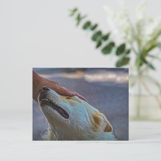 Un homme et son chien, carte postale (Debout devant)