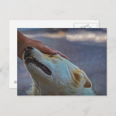 Un homme et son chien, carte postale (Devant / Derrière)