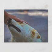 Un homme et son chien, carte postale (Devant)