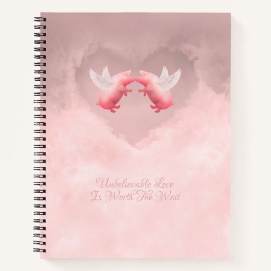 Un incroyable Carnet d'amour (Devant)