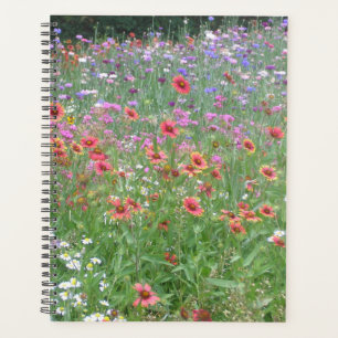 Un jardin de Fleur sauvage