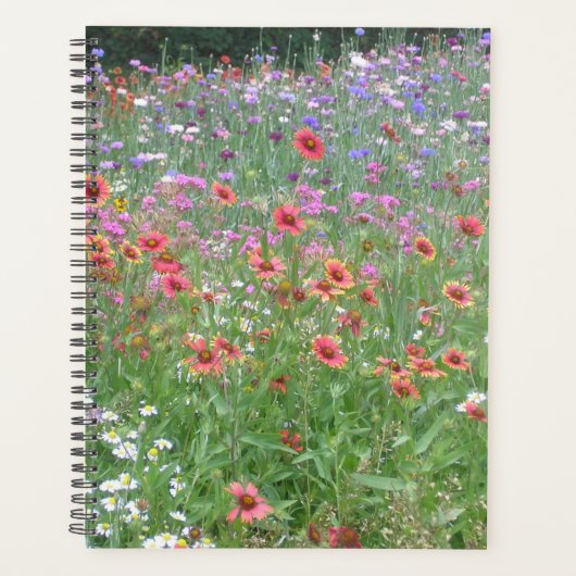 Un jardin de Fleur sauvage (Devant)