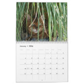 Un jour dans la vie d'Ansel Calendrier - 18 mois (Jan 2026)