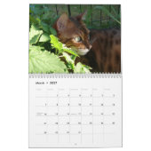 Un jour dans la vie d'Ansel Calendrier - 18 mois (Mar 2027)