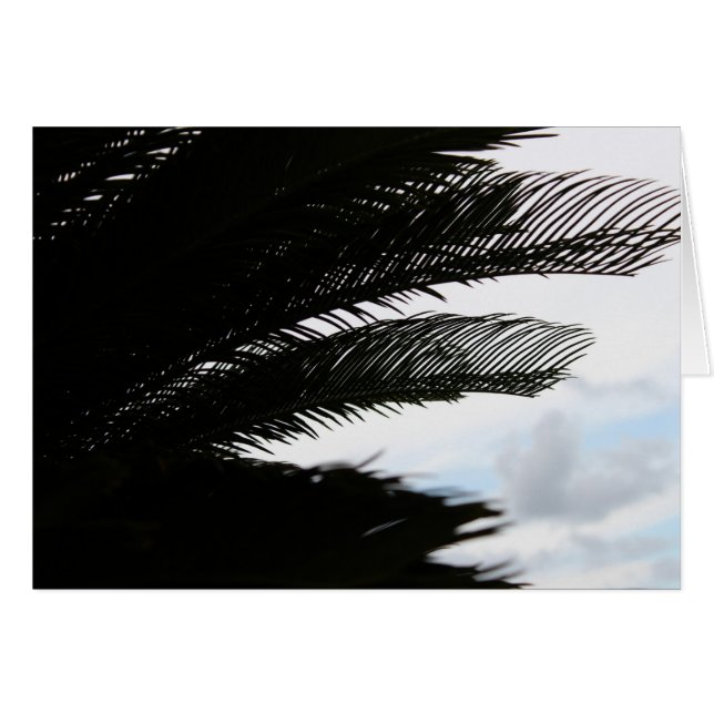 Un jour nuageux (Devant horizontal)