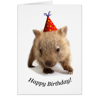 Un joyeux anniversaire de wombat