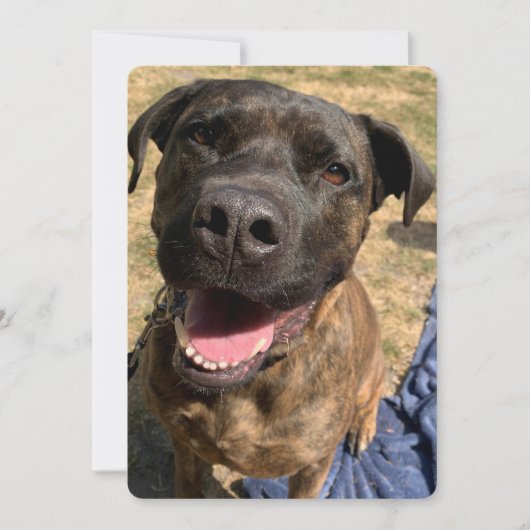 Un joyeux carte de remerciements de Bull Mastiff (Devant)