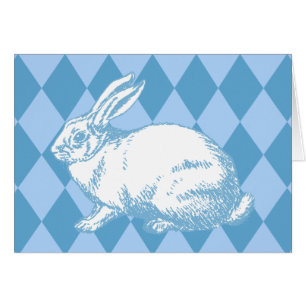 Un lapin blanc