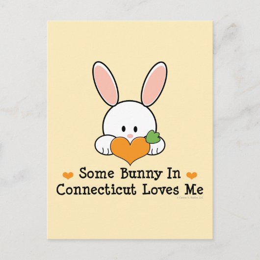 Un Lapin Dans Le Connecticut M'Aime Carte Postale (Devant)