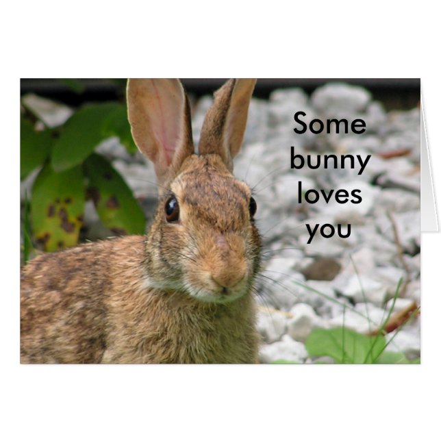 Un lapin t'aime (Devant horizontal)
