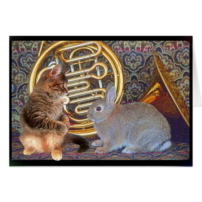 Un lapin, un chaton et un cor de harmonie (Devant horizontal)