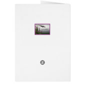 Un Manque D'Attention À Fuchsia (Dos)